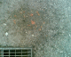 060818.Sick2_t.gif