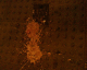 061104.Sick_t.gif