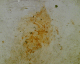 061216.Sick_2_t.gif