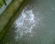 070209.sick_t.gif
