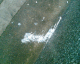 070217.sick_t.gif