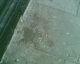 070407.Sick_t.gif