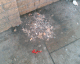 070415.sick2_t.gif
