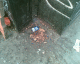 070415.sick3_t.gif