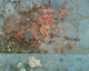 070421.sick_t.gif