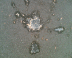 070422.sick_t.gif