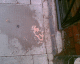 070630.sick2_t.gif