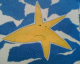 060520.Star2_t.gif