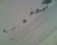 060526.star2_t.gif