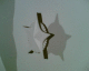 060707.S_Star3_t.gif