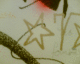 061230.Star2_t.gif