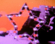 070714.star1_t.gif