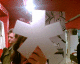 070807.star_2_t.gif