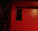 051106.male1_t.gif